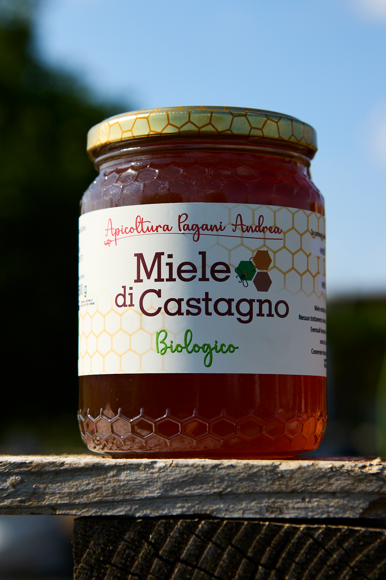 Castagno - Parco Pineta