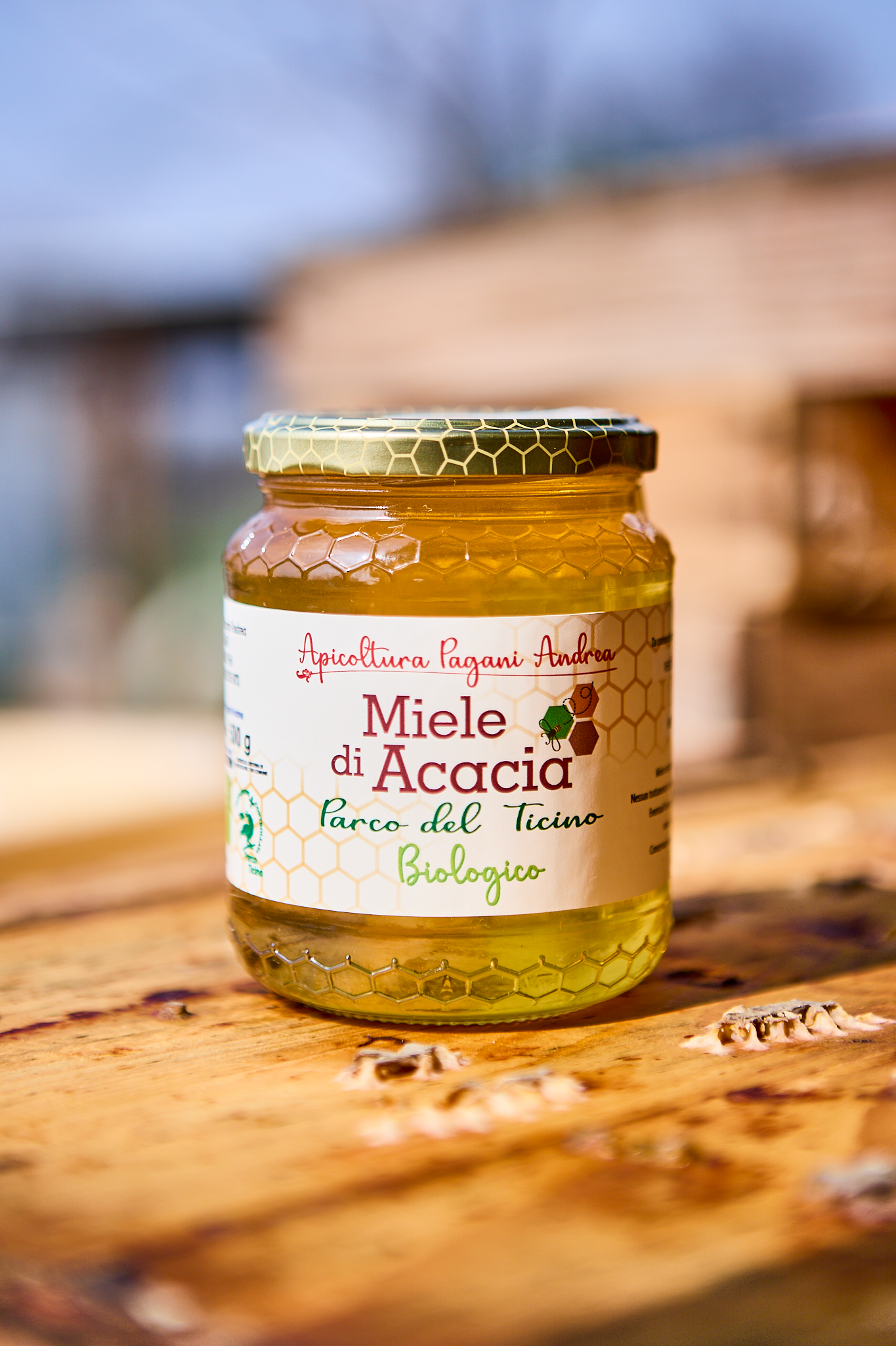 Acacia - Due gocce d'oro - Parco del Ticino